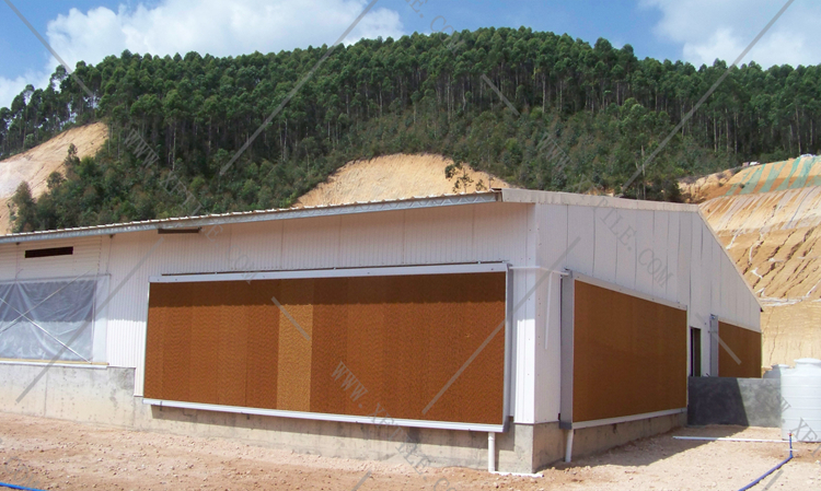還在為廠房的墻體煩惱嗎？使用星發優質墻體廠房塑料瓦