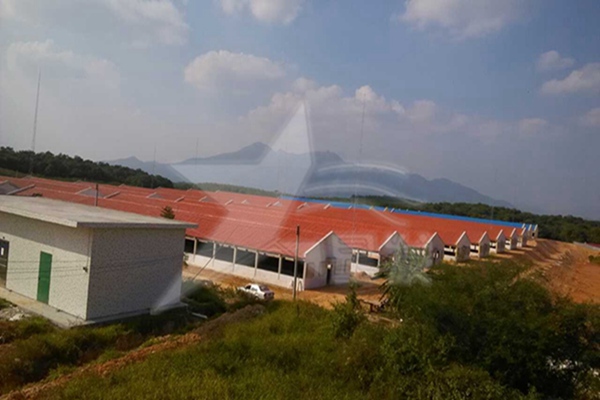 贛州建材市場(chǎng)什么樣的樹脂瓦質(zhì)量好
